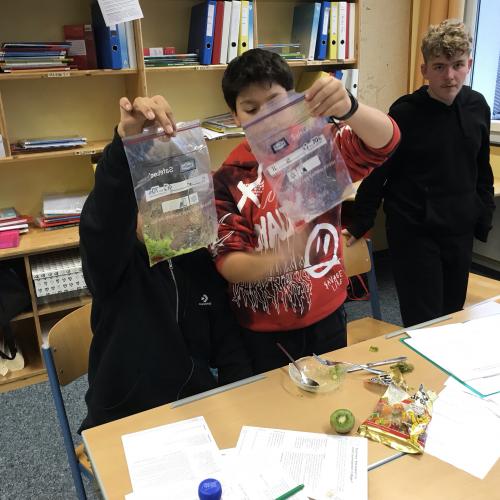 Schüler stellen in einem Plastikbeutel die Verdauung nach. 